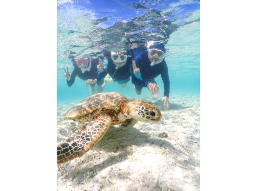 宮古島【春休み・GW先取り】★当日予約OK！写真無料！手ぶらで参加！《学生・ファミリー大歓迎》ウミガメシュノーケルの画像
