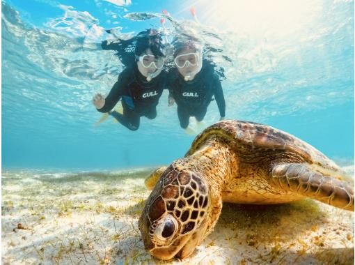 宮古島【春休み・GW先取り】★当日予約OK！写真無料！手ぶらで参加！《学生・ファミリー大歓迎》ウミガメシュノーケルの画像