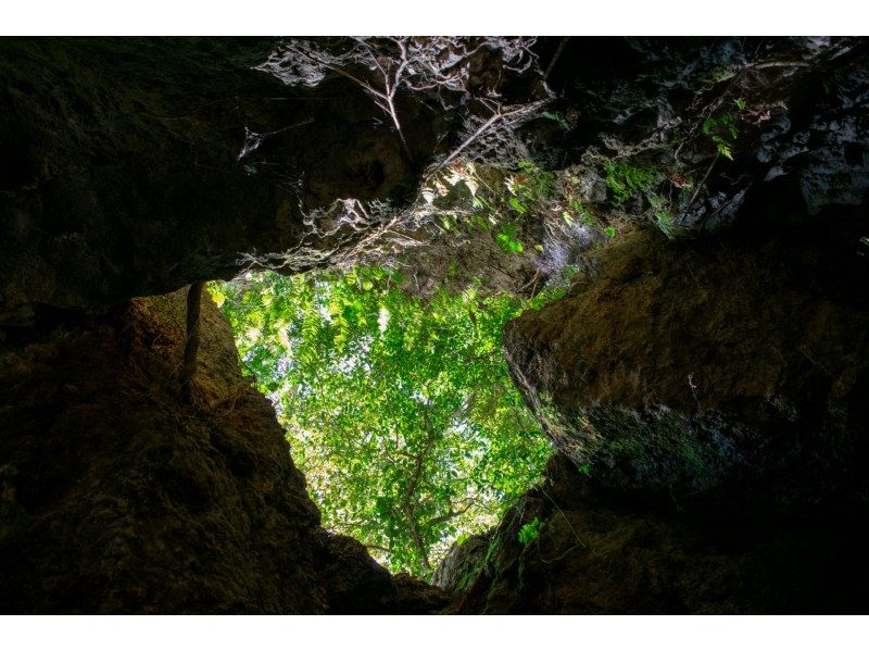 【冲绳，宫古岛】宫古，静谧深处！感受大地脉动，开启您的精彩冒险之旅！专业向导将带领您以自己的节奏探索宫古岛。の紹介画像