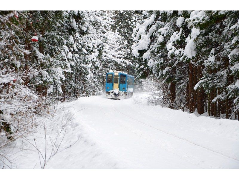 【北海道・SUP体験】透明度の高い支笏湖の湖面をクルージング！SUP体験（半日コース）の画像