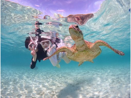 宮古島 / {即使在您離開的當天！ } [海龜浮潛] ★免費拍照★提供淋浴和吹風機★距離宮古機場10分鐘路程！の画像