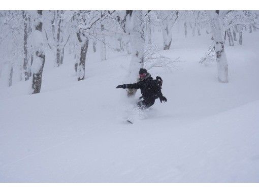 【秋田・田沢湖】バックカントリー〈ビギナーツアー〉の画像