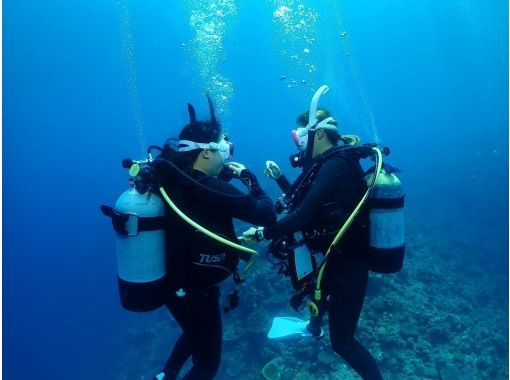 【沖縄本島】貸切クルーズ船でダイビングライセンス取得！　取得後はレンタル器材が永久無料！　器材購入も割引可能できます！の画像