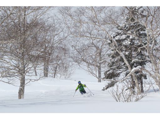 【秋田バックカントリー】初級コース！！バックカントリーツアーの画像