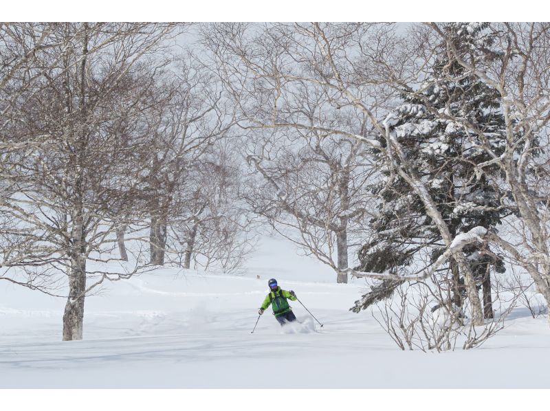 【秋田バックカントリー】初級コース！！バックカントリーツアーの紹介画像