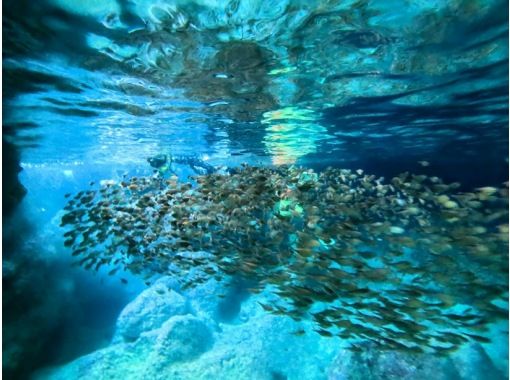 【沖縄・伊良部島】青の洞窟＆リーフＷシュノーケル＋グラスボート海底遊覧♪（今だけ青の洞窟シュノーケルを特価で提供！）の画像