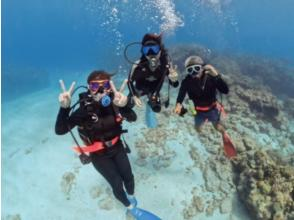 【那覇発・慶良間諸島・送迎可】半日で気軽に参加できる！体験ダイビング１回コース＜初心者・お1人様も大歓迎＞