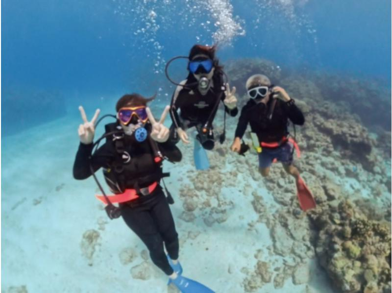 【那覇発・慶良間諸島・送迎可】半日で気軽に参加できる！体験ダイビング１回コース＜初心者・お1人様も大歓迎＞の紹介画像