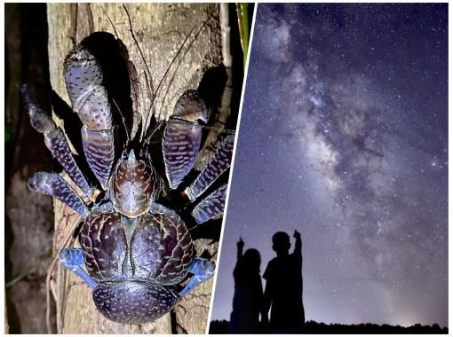 ทัวร์กลางคืนมิยาโกจิมะ | ทัวร์กลางคืนท้องฟ้ายามค่ำคืนและป่าเขตร้อนの画像