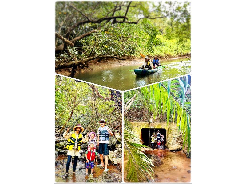 【沖縄・石垣島】”プチツアー” カヤックとトレッキングでゆく熱帯ジャングル大冒険！の紹介画像