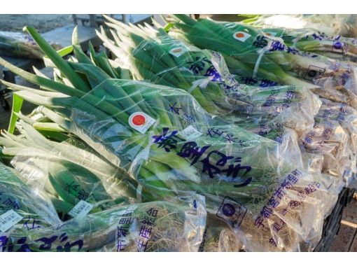 【栃木県・宇都宮市】全国からねぎ好きが集う「新里ねぎまつり」満喫ツアー　～イベントをより充実させる参加者特典付きプラン～の画像