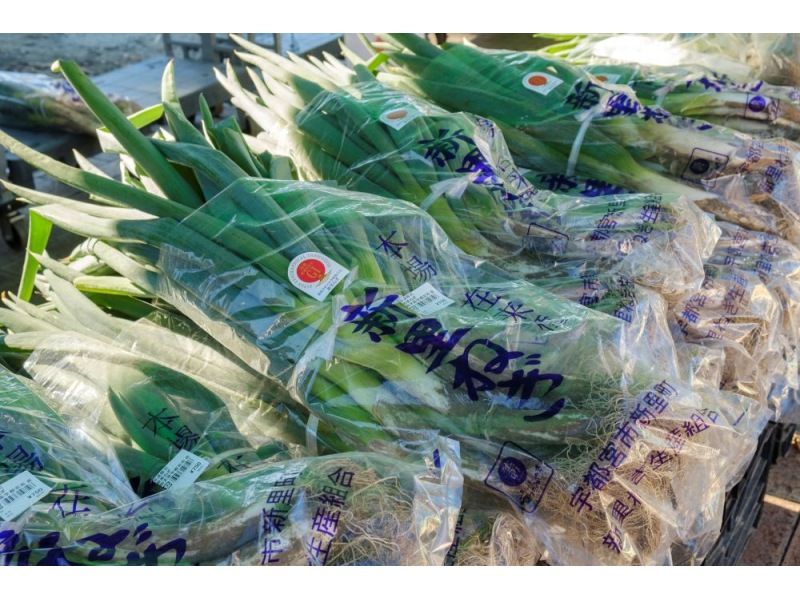 【栃木県・宇都宮市】全国からねぎ好きが集う「新里ねぎまつり」満喫ツアー　～イベントをより充実させる参加者特典付きプラン～の紹介画像