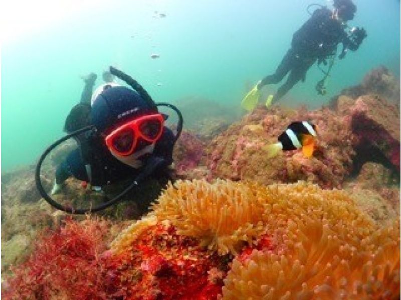 [Chiba] A 2-night, 2-day stay in Izu, leaving after work at night. "Diving license course 2 (3) days"の紹介画像