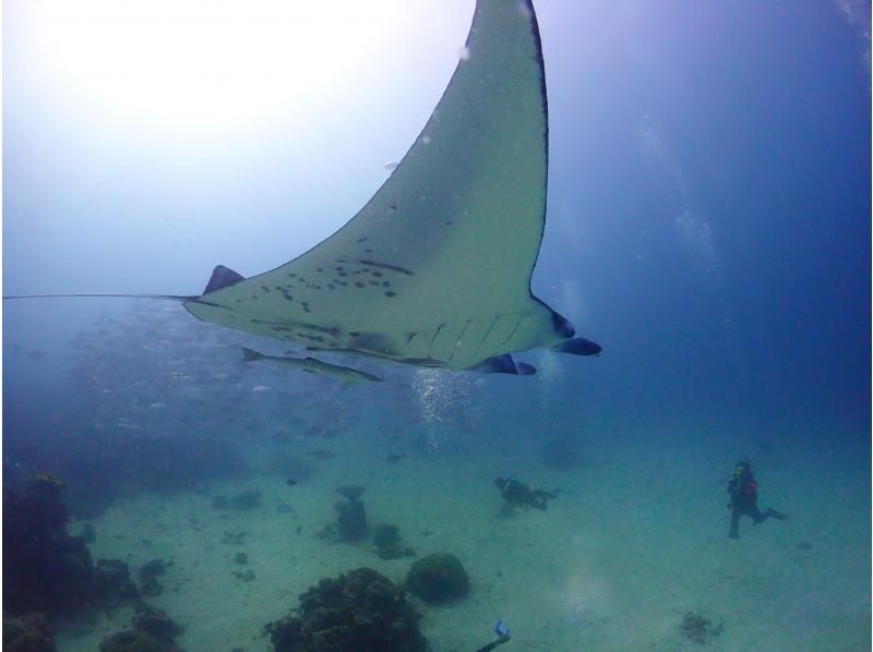 [Osaka] Overseas: 3-day diving license course at an authentic Maldives resortの紹介画像