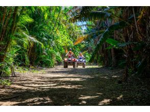 【バギー体験2島めぐり】西表島バギー体験と由布島＜約6時間／昼食付／E-2B＞