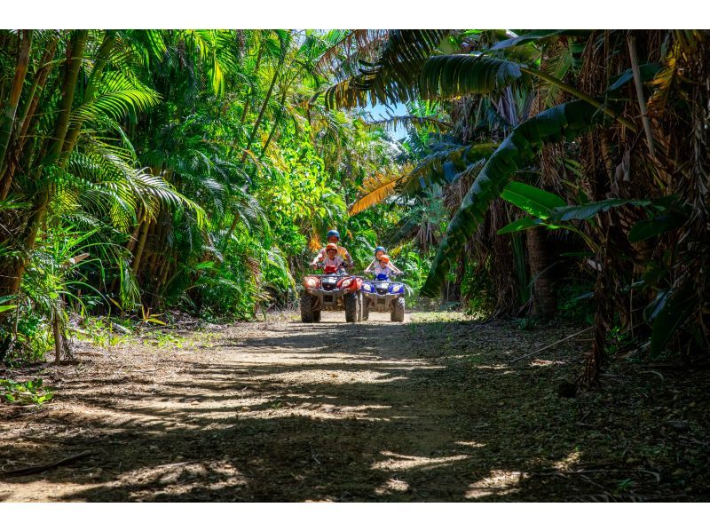 【バギー体験2島めぐり】西表島バギー体験と由布島＜約6時間／昼食付／E-2B＞の紹介画像
