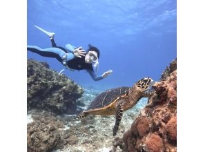 【宮古島・1組貸切】4名様まで限定！少人数制ウミガメスキンダイビングツアー体験！⭐️元USJダンサー⭐️プロのエンターテイナーが担当ガイド！