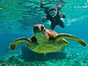 isol blue(イゾラブルー)