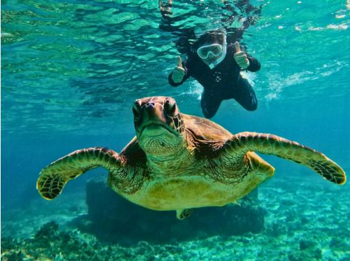 【奄美大島 - 浮潛 & 立槳衝浪】【冬季也舒適！ ！ 】海龜觀賞和海上立槳衝浪休閒之旅（提供熱水淋浴和潛水服/包含照片）の画像