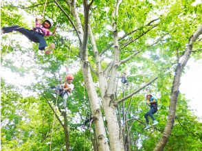 【東北・山形県】朝日町・のんぽかの森ツリーイング体験☆有資格ガイドがご案内する木のぼりツアー。装備レンタル、保険込み、写真データ無料！