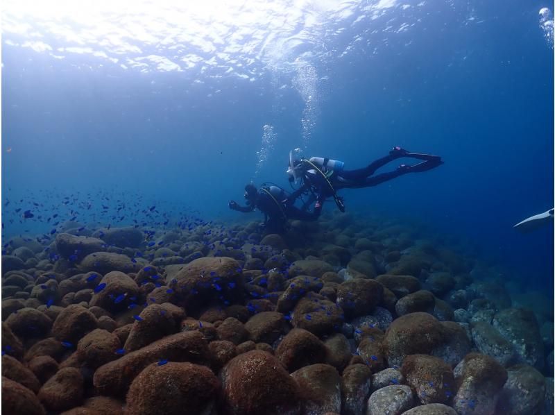 【北海道・SUP体験】透明度の高い支笏湖の湖面をクルージング！SUP体験（半日コース）の画像