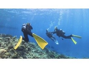 <十一月限时特惠>【冲绳北部 - 本部 - 濑底岛 - 美那岛 - 偏远岛屿潜水 / 2小时行程】全县能见度最高！即使是初学者也能安心体验潜水乐趣