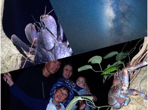 宮古島《少人数制で安心！》宮古島の夜を冒険！【ナイトツアー】★子供料金あり！★当日予約OK！★撮影データ無料の画像