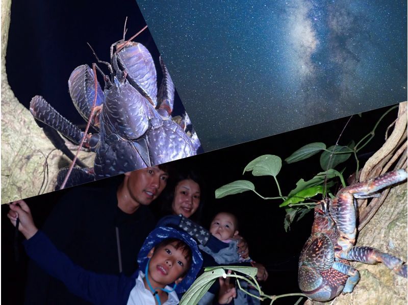 宮古島《少人数制で安心！》宮古島の夜を冒険！【ナイトツアー】★子供料金あり！★当日予約OK！★撮影データ無料の紹介画像