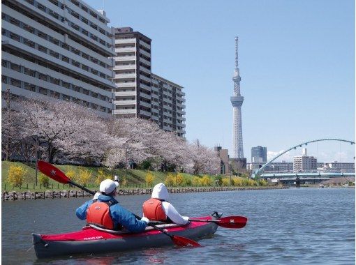 【東京 カヤック】 お花見カヤックツアー　♪桜×スカイツリーの絶景をお楽しみください。の画像