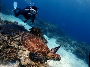【慶良間・送迎あり】水中写真・動画プレゼント！☆お1人様も大歓迎☆初心者体験ダイビング半日（１回コース）