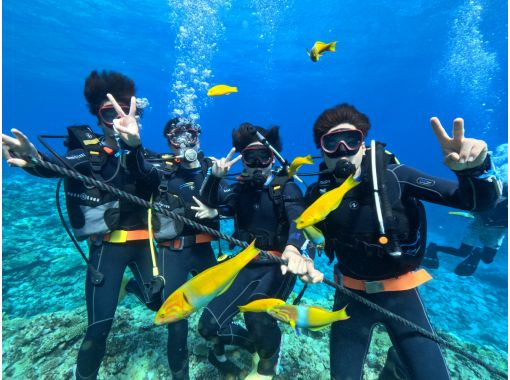 【慶良間・送迎あり】水中写真・動画プレゼント！☆お1人様も大歓迎☆初心者体験ダイビング(半日2回コース）の画像