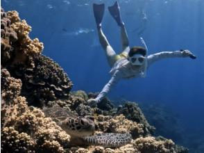 【那覇発・半日・送迎付き】初心者向けスキンダイビング★お1人様も大歓迎！快適ボートで慶良間諸島へ★安心のレクチャー付き！