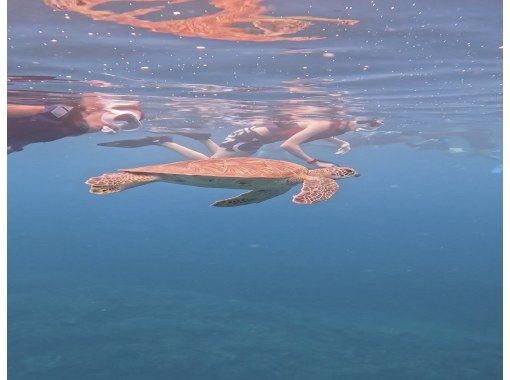 【冲绳，恩纳村】海龟漫步浮潜の画像