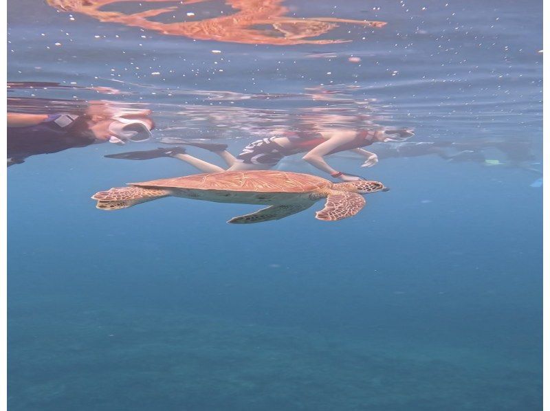 【北海道・SUP体験】透明度の高い支笏湖の湖面をクルージング！SUP体験（半日コース）の画像