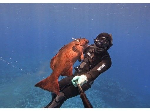 【沖繩，久米島】最受歡迎的回頭客：品嚐新鮮捕撈的魚！體驗與漁民一起的釣魚之旅！の画像