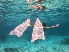 真心ダイバーズ