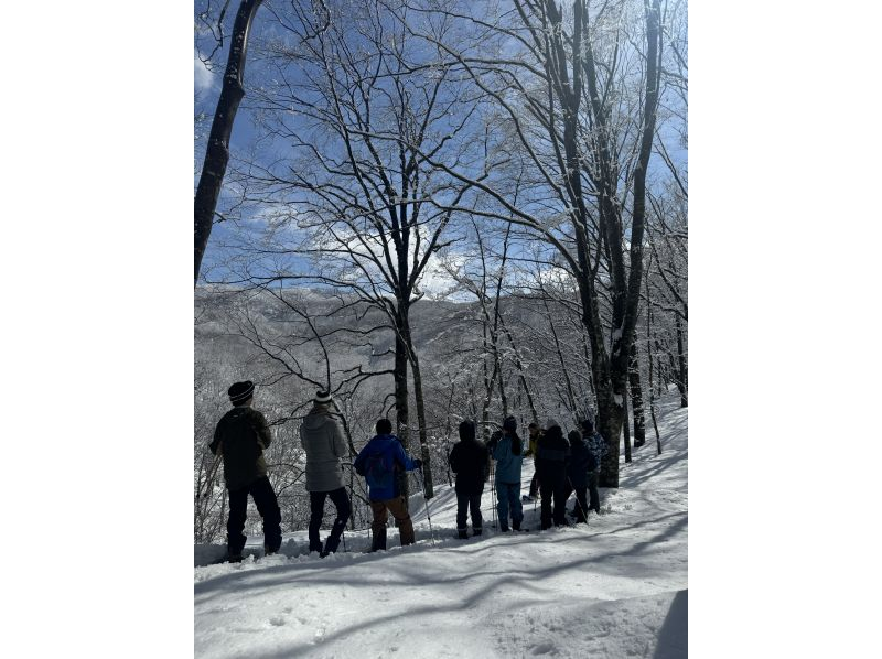【秋田・田沢湖・スノーシュー】雪道でもスイスイ歩ける！スノートレッキング（ティータイム付）の紹介画像
