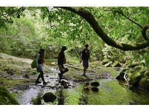 【ジャングル探検2島めぐり】西表島ちょっぴりジャングル探検と由布島＜約6時間／昼食付／E-4T＞