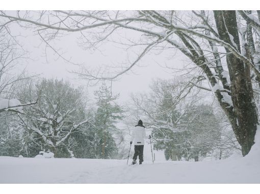 [Akita, Lake Tazawa] Enjoy the beauty of nature while stepping on a carpet of snow! Enjoy the snowy world with snowshoe trekking!の画像