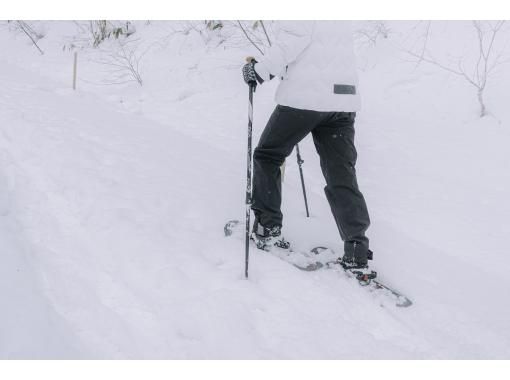 [Akita, Lake Tazawa] Enjoy the beauty of nature while stepping on a carpet of snow! Enjoy the snowy world with snowshoe trekking!の画像