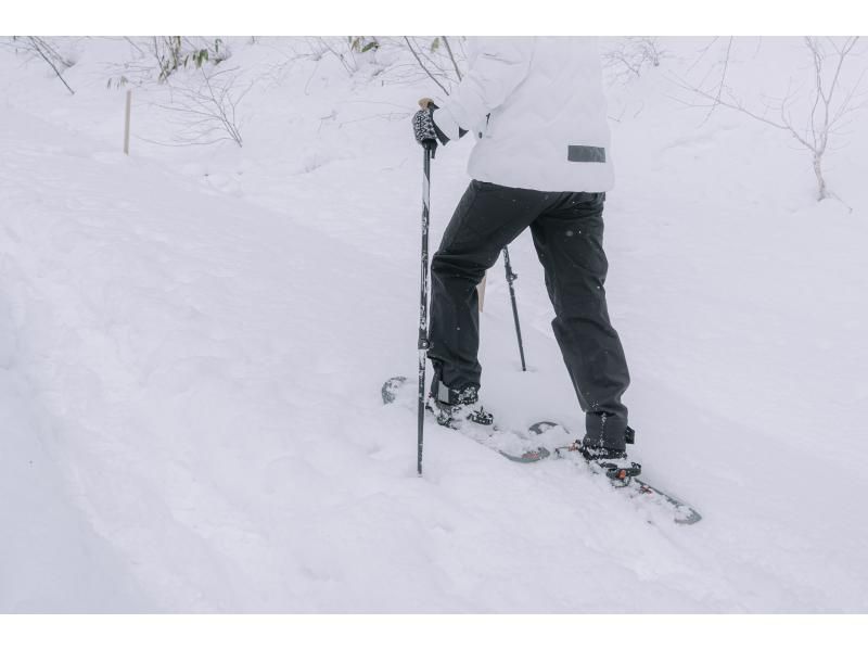 [Akita, Lake Tazawa] Enjoy the beauty of nature while stepping on a carpet of snow! Enjoy the snowy world with snowshoe trekking!の紹介画像