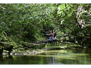 Ishigaki Island Dream Tourism