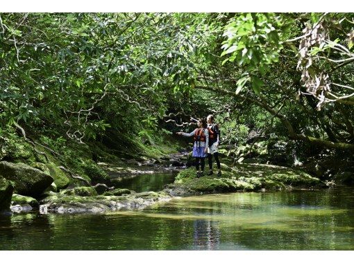 【ジャングル探検3島めぐり】西表島ちょっぴりジャングル探検と由布島＋選べる竹富島観光＜7時間～／昼食付／E-3T＞の画像