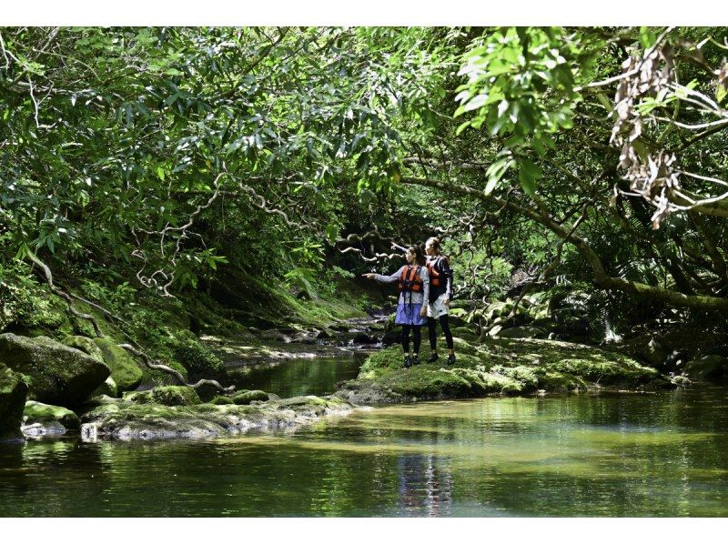 【ジャングル探検3島めぐり】西表島ちょっぴりジャングル探検と由布島＋選べる竹富島観光＜7時間～／昼食付／E-3T＞の紹介画像