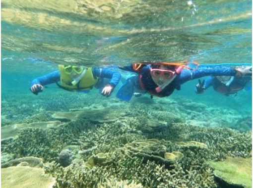 [冲绳、伊良部岛]皮划艇之旅！小丑鱼和珊瑚浮潜♪の画像