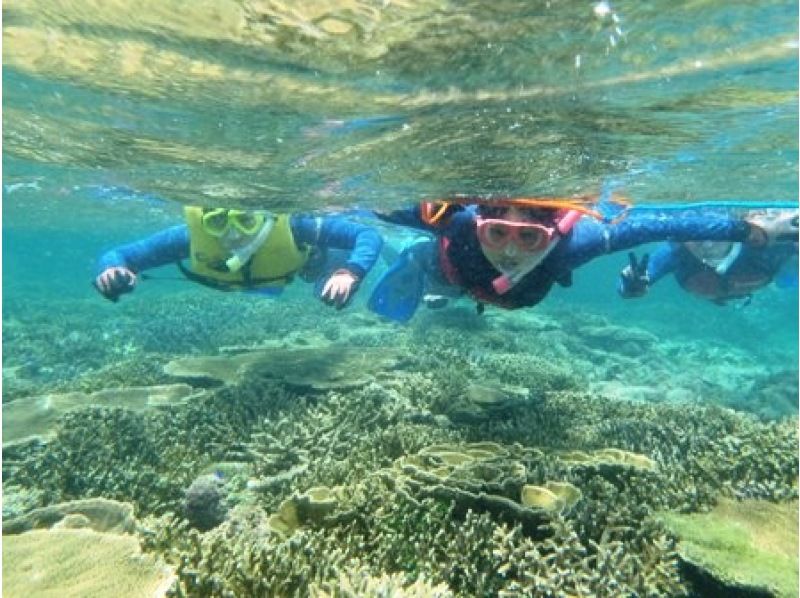 [沖繩、伊良部島]獨木舟之旅！小丑魚與珊瑚浮潛♪の紹介画像