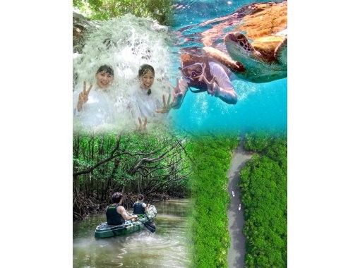 [Ishigaki Island / 1 day] Mangrove drone & SUP/Kayak with SLR + Blue Cave Sea Turtle Encounter Rate 99.9% Snorkeling & Kabira Bay Drone & Healing Waterfallの画像