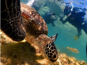 【沖縄・糸満周辺・ビーチシュノーケリング】ウミガメと出会えるビーチ★100種以上のお魚★天然の水族館で絶景ツアー
