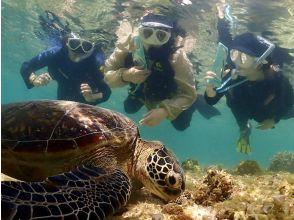 【那覇・糸満周辺・ビーチシュノーケリング】ウミガメと泳げる！？★天然の水族館で絶景ツアー★泳げない方も大歓迎