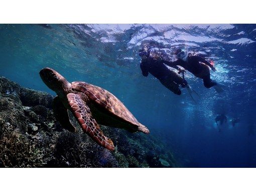 【沖縄・宮古島】八重干瀬半日シュノーケルツアー！女性ダイビングインストラクターで少人数制だから安心（水中撮影・ドローン撮影無料）の画像